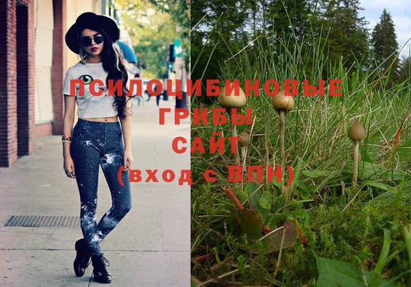 дурь Богородицк